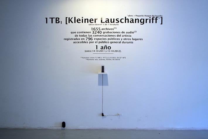 Actualmente Rainer Krause exhibe la instalación 1 TB1 [kleiner Lauschangriff] en la muestra Menos es Más que se lleva a cabo en el contexto de la conmemoración de los quince años del Museo Sin Muros.