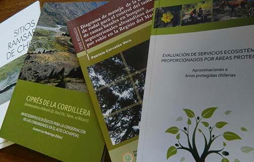 Cuatro libros se han publicado en los últimos meses por académicos de la FCFCN.