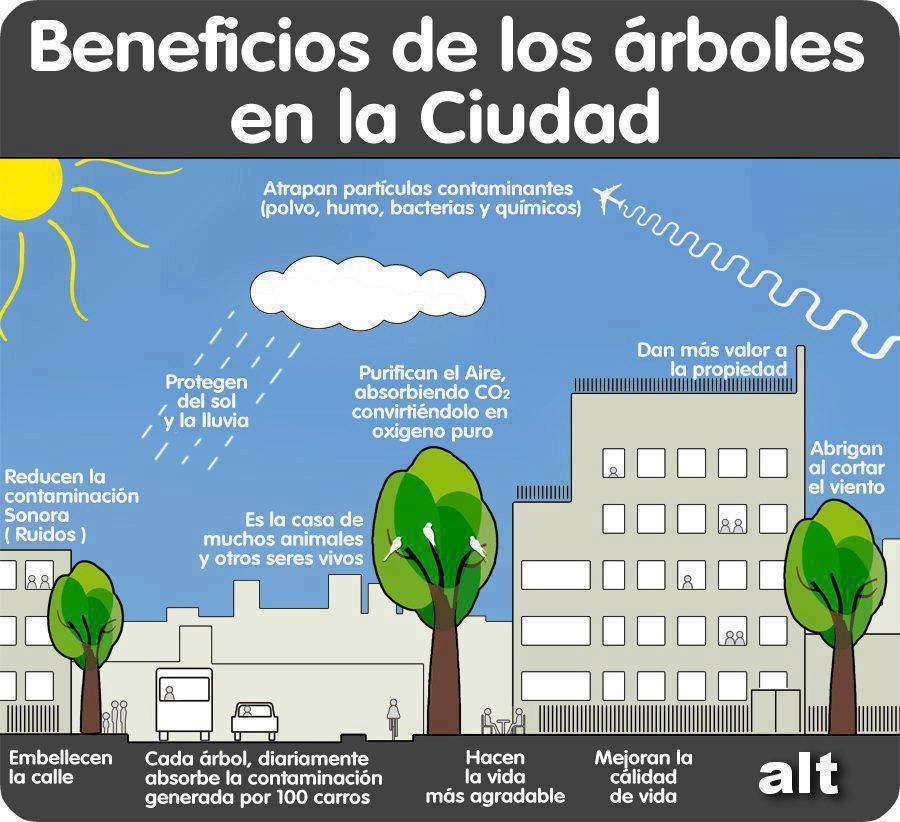 Chile puede mejorar la sustentabilidad de sus ciudades.