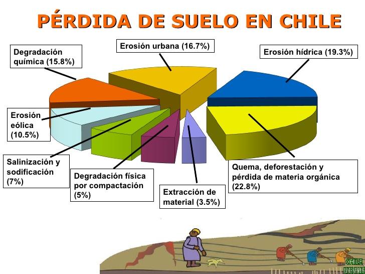 La erosión del suelo responde a diversas causas, dentro de las cuales la producción agrícola y ganadera, las operaciones mineras, los incendios forestales, entre otras.