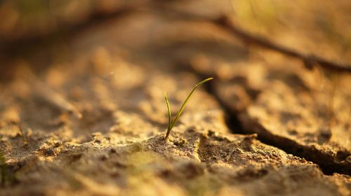 Investigación social creativa: experiencias en Chañaral y Aconcagua