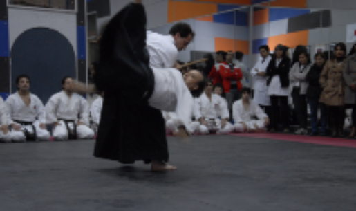 Rama de Aikido invita a participar