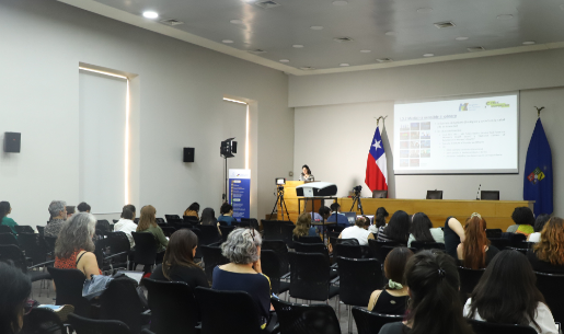 UCH imparte charla comparando perspectiva de género aplicada en Chile y Alemania