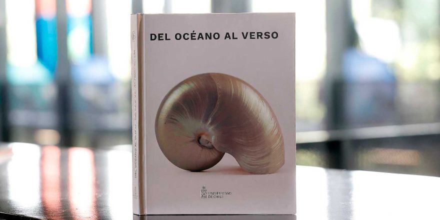 Caracolas de Neruda quedan plasmadas en nuevo libro bilingüe de la UCHILE
