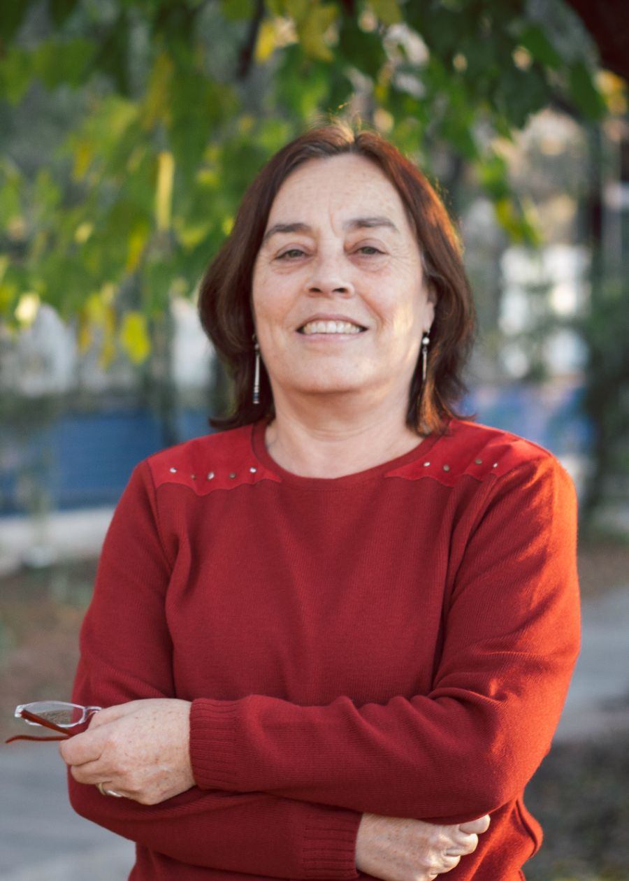 Prof. Loreto Rebolledo, decana Facultad de Comunicación e Imagen de la Universidad de Chile