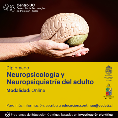 Diplomado en Neuropsicología y Neuropsiquiatría del Adulto: Fundamentos Teóricos. Versión XVIII, 2024