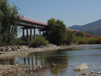 Puente Confluencia, en la región del Ñuble, defendido por la comunidad por ser un lugar donde se cometieron crímenes contra los DD.HH., por lo que la comunidad defendió el puente para defender la memoria histórica.