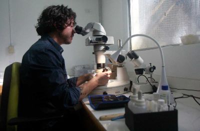 Sergio Soto, sentado en su laboratorio