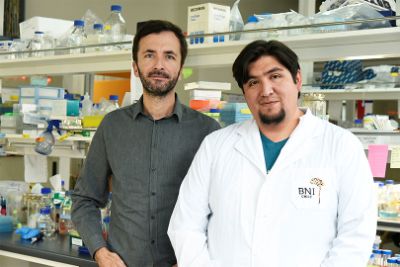 El Dr. Hery Urra Zúñiga, científico de 34 años, en la fotografía junto al Dr. Hetz, es el líder de este trabajo que fue publicado en la revista internacional Nature Cell Biology.