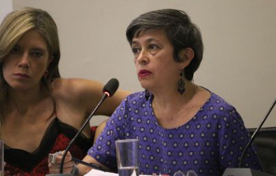 Carolina Muñoz, periodista y directora de la Dirección de Género, Diversidades e Inclusión del Instituto de la Comunicación e Imagen de la Universidad de Chile.