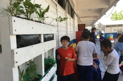 Se instalaron huertos verticales y jardineras, las que hoy están a cargo de los estudiantes. 