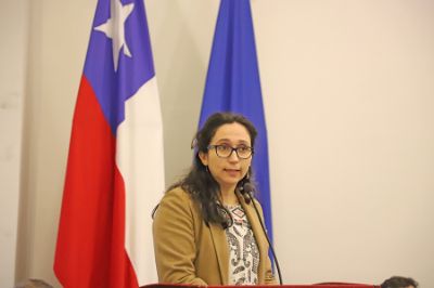 La coordinadora de la RedPE y académica de FACSO, Anahí Urquiza, agregó la importancia de entender la pobreza energética como un problema social de Chile.