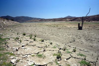 En 2020, Petorca fue declarada zona de catástrofe por escasez hídrica.