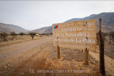El Santuario Natural Quebrada de La Plata se ubica en Maipú y está inserto en el primer cordón montañoso de la Cordillera de la Costa.