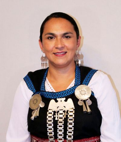 Rosa Catrileo, Escaño reservado del pueblo mapuche. Región de La Araucanía