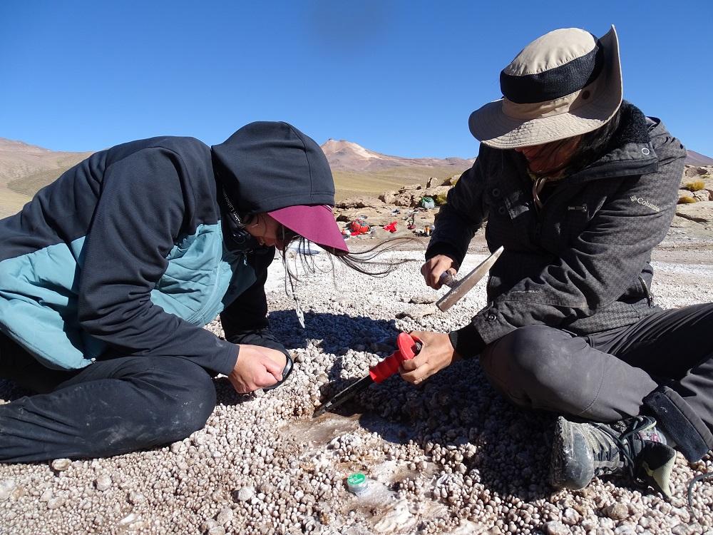 El grupo investigador analizó el ciclo completo de erupción del flujo hidrotermal y la composición química del depósito para conocer el mecanismo de formación de la geiserita.