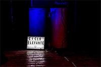 "Espacio Elefante no funciona sólo como un espacio, sino como una mente que propone una curatoría. No es que otros vengan y ocupen el lugar, sino que establecemos vínculos, redes", dice Pablo Torres.