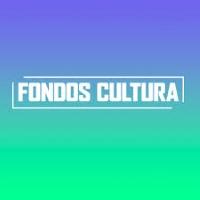 Académicas/os de la Facultad de Artes se adjudican Fondos de Cultura 2020 para el financiamiento de proyectos artísticos y culturales en distintas disciplinas.