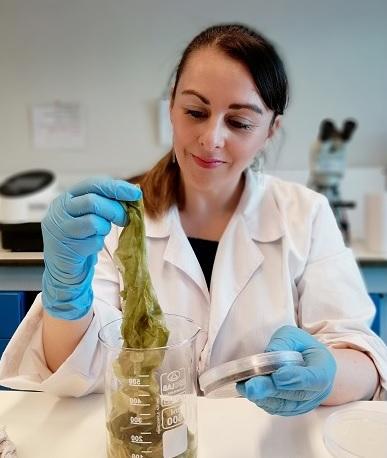  Investigadora del Centro de Biotecnología y Biogeniería (CeBiB)