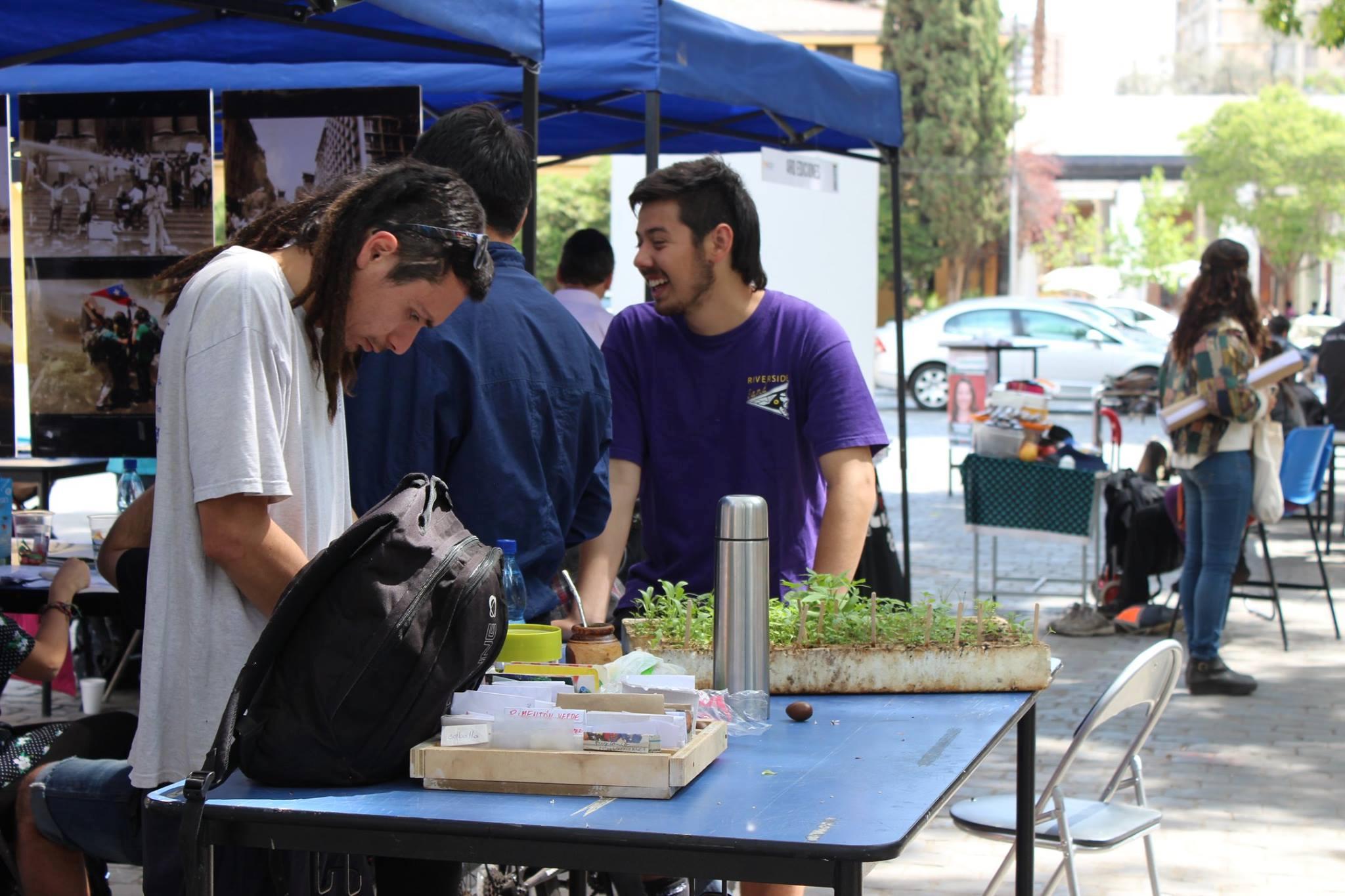 Feria de organizaciones