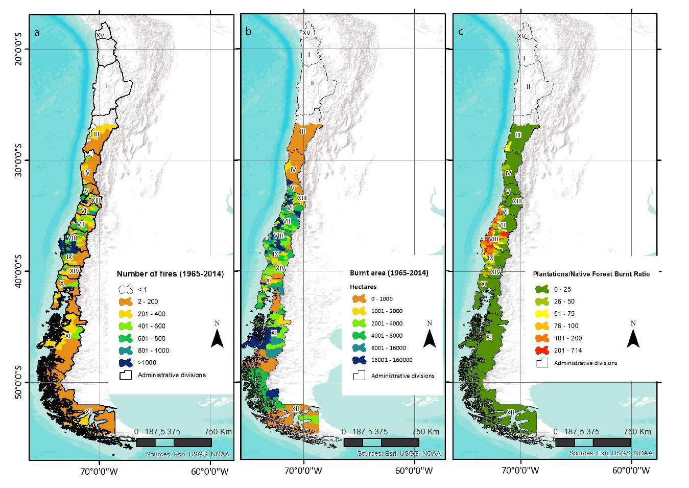 Visión general de la cantidad de incendios y superficie quemada de bosque nativo y plantanciones.