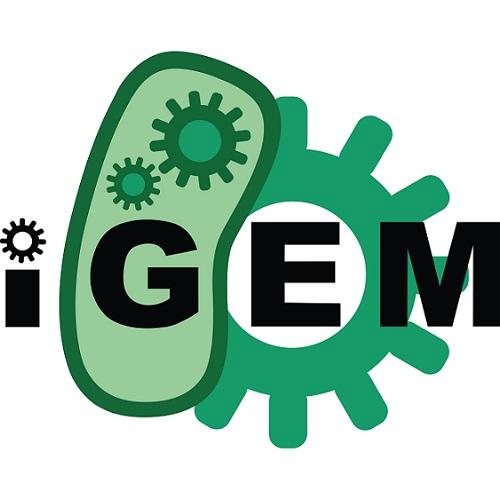 IGEM