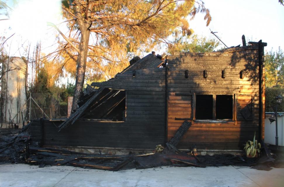 El proyecto busca generar construcciones de madera con mayor resistencia al fuego.