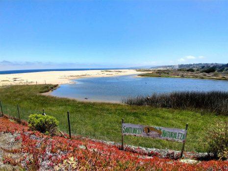 El humedal "El membrillo", en Algarrobo, será uno de los sitios en donde funcionarán las actividades de HumeLab.