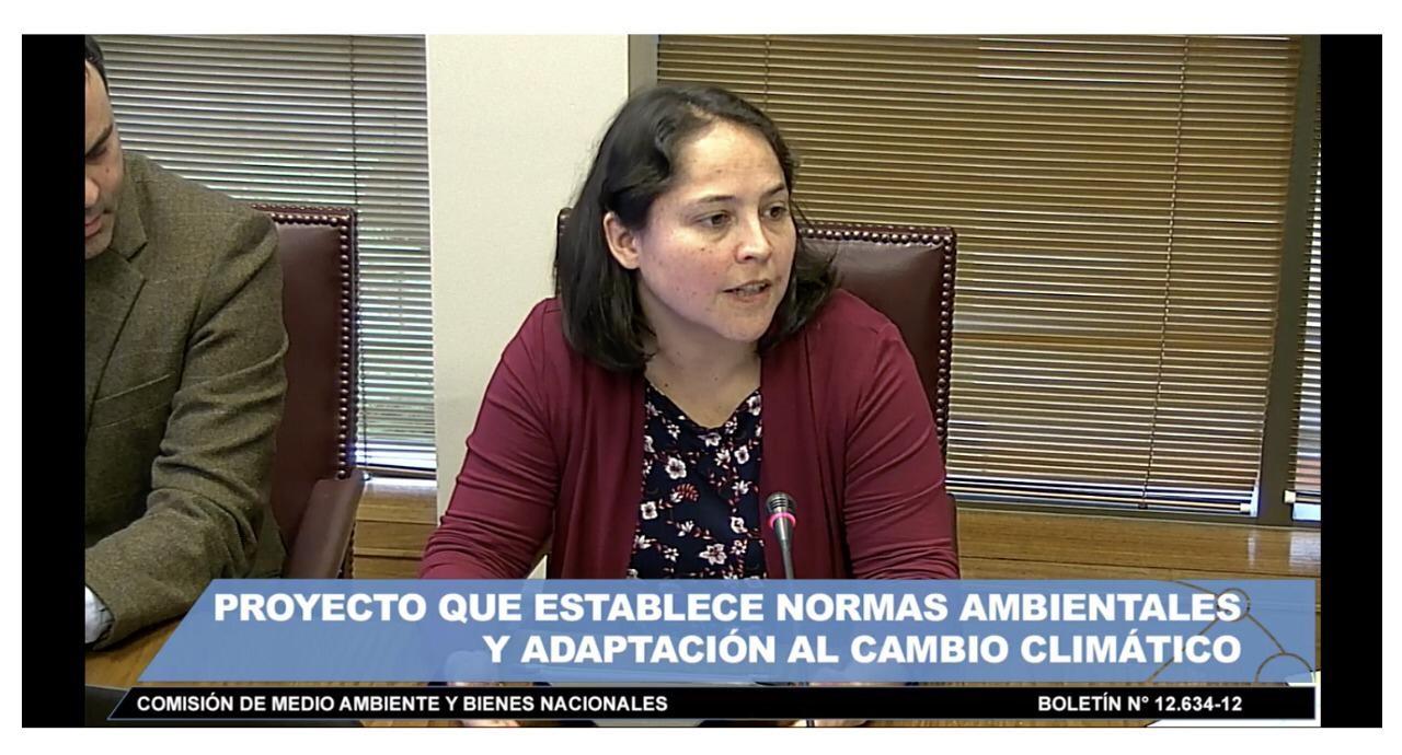 Beatriz Bustos en Senado.