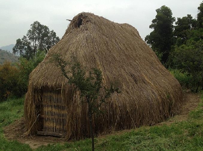 Este proyecto se encuentra emplazado en el Parque Metropolitano de Santiago, en la zona denominada "Bosque Santiago", en la comuna de Huechuraba.