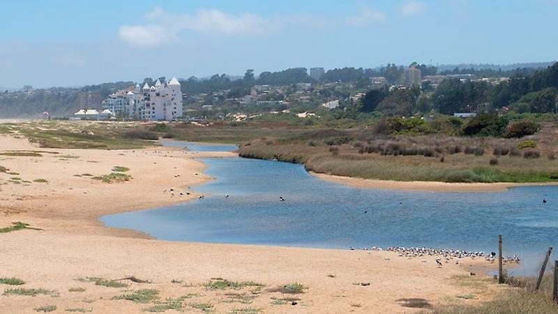 La plataforma presenta información sobre humedales de todo Chile. En esta primera etapa, además, entrega contenidos específicos de humedales de las comunas de Algarrobo y Pichilemu.