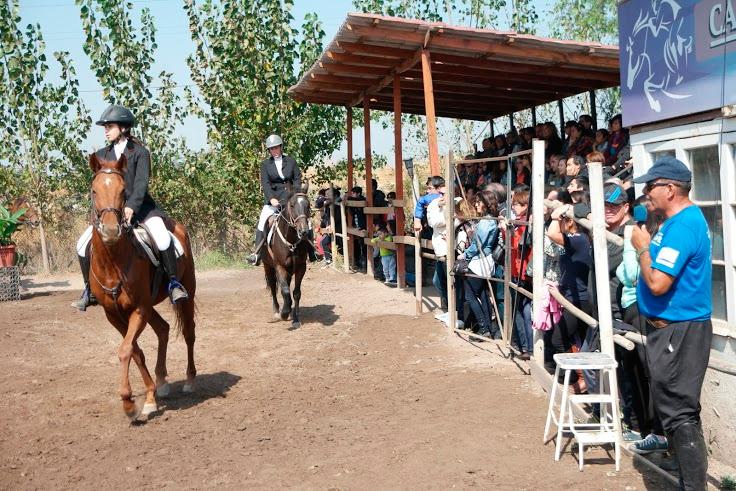 Caballos de la Escuela de Equitación de FAVET