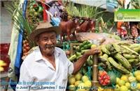 Participaron  en el concurso 15 países de América Latina y el Caribe. En la imagen la foto de Venezuela.