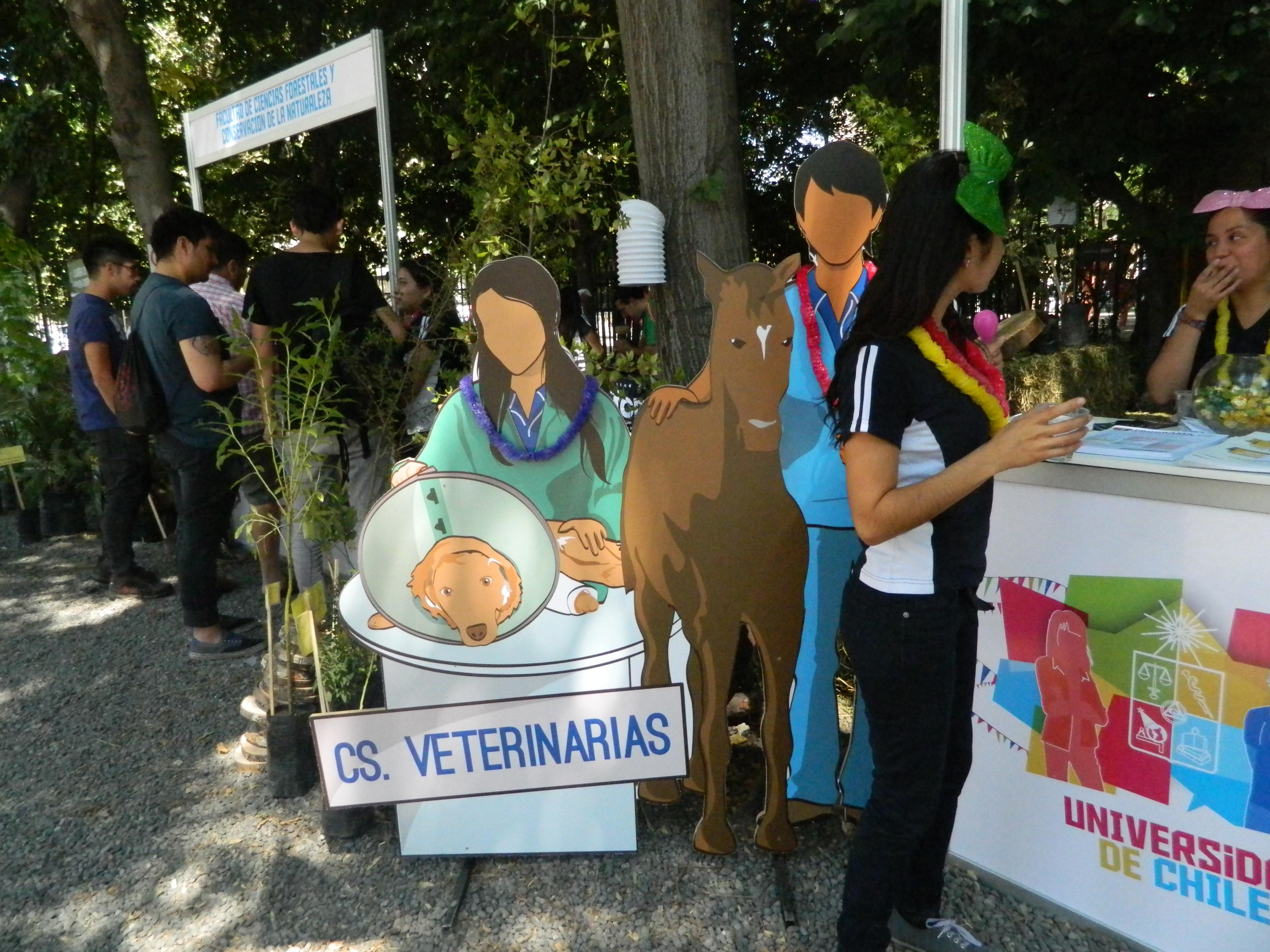 La mayoría de los estudiantes ingresan a la carrera motivados por el cuidado de los animales. Actualmente  cerca del 65% de los estudiantes son mujeres.