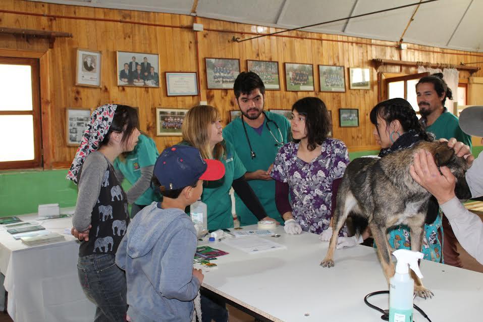 Se aplicó la vacunación óctuple, antirrábica en el caso de perros y triple felina en el caso de los gatos domésticos. 