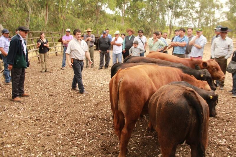 La forma de llegar con nuevas biotecnologías reproductivas a los agricultores, fue a través de la implementación de 18 postas de inseminación artificial ubicadas en distintas comunas de la región.