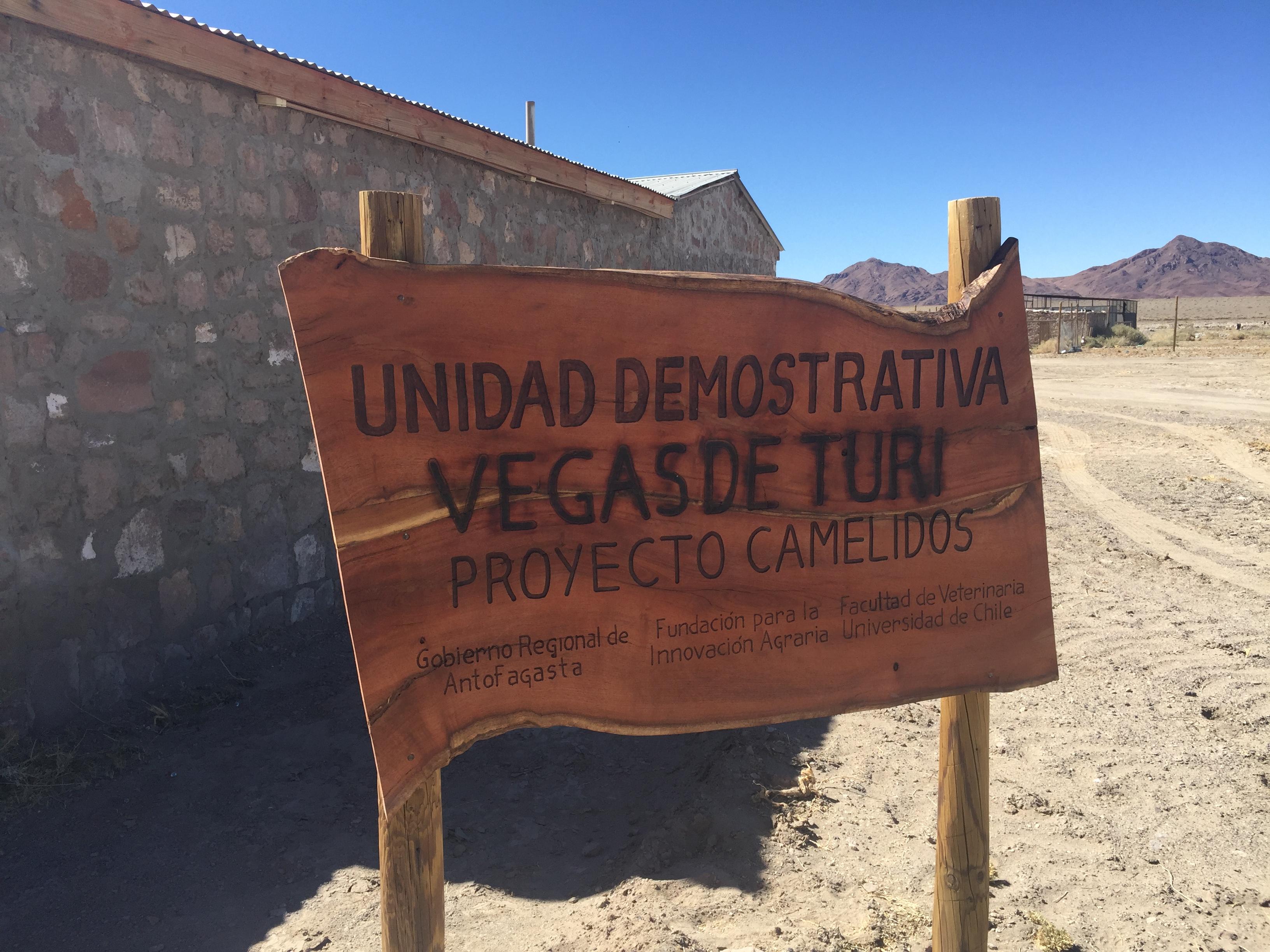 Es la segunda unidad demostrativa para transferencia tecnológica, manejo sanitario y genético en camélidos sudamericanos, domésticos y pequeños rumiantes, en el desierto más seco del planeta.