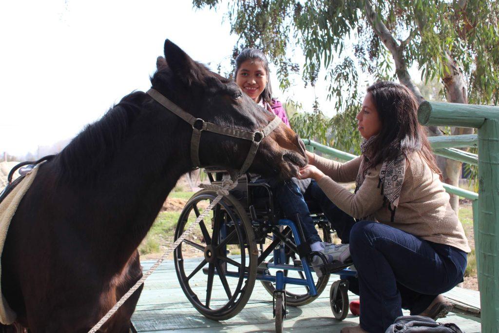 En Mundo Granja también se realiza un taller de hipoterapia dirigido a niños con capacidades diferentes.