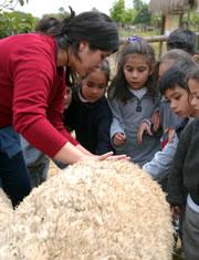 Los beneficios de las terapias asistidas con animales son múltiples, desde aspectos musculares hasta la mejoría en las relaciones afectivas y emocionales con el entorno.