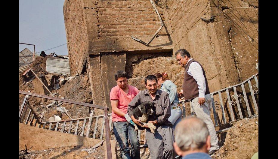 Desde el área sicosocial se plantea que la pérdida de una mascota tiene implicancias profundas en la emocionalidad de su dueño.