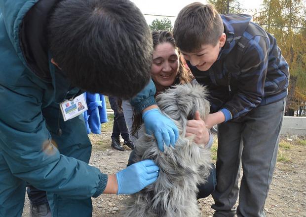 Actualmente a nivel nacional un 39% de las personas cree que la acción más importante a realizar en los espacios públicos de su comuna es el control de los animales presentes en las calles.