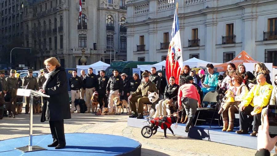 En agosto del 2017, se promulgó la Ley 21.020 de Tenencia Responsable de Mascotas y Animales de Compañía, que contempla 38 artículos.