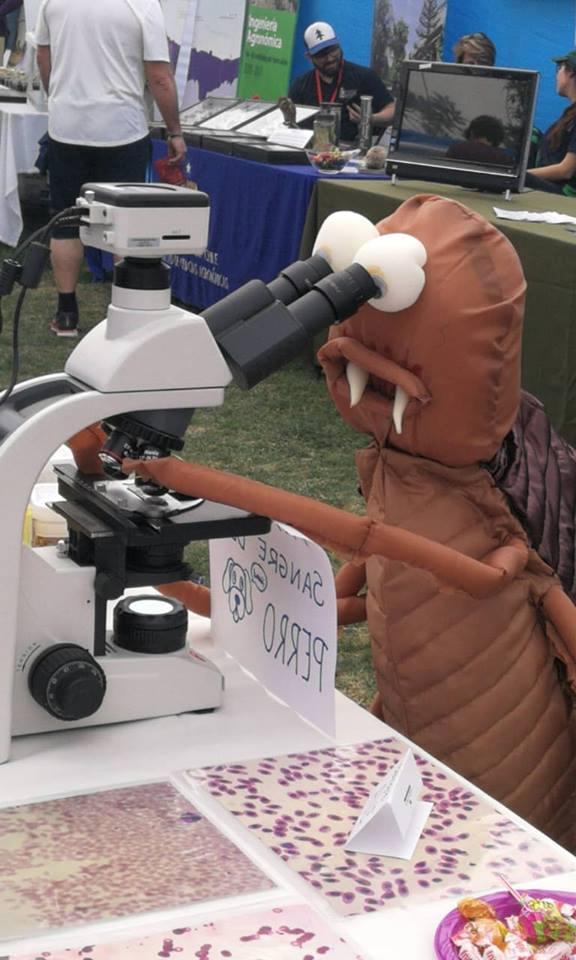 La Pulga gigante fue la gran atracción de la Fiesta, un muñeco creado por el señor Omar Ramírez, padre de una de las destacadas académicas que organizó la participación de Favet en el evento.