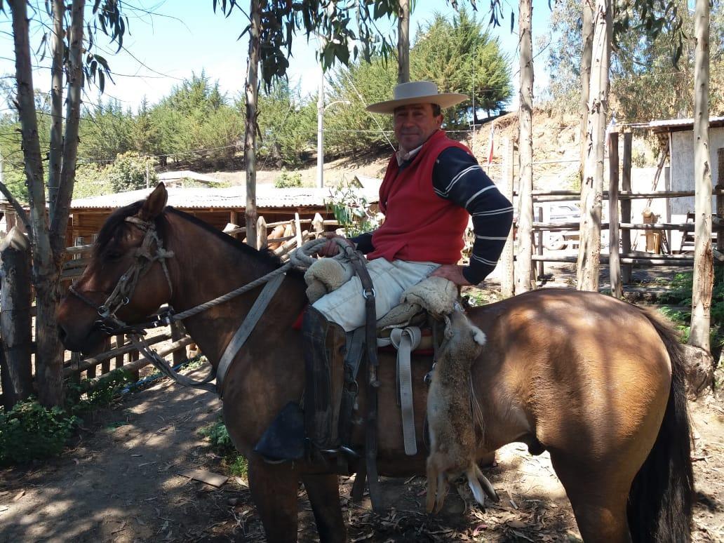 Se trabajó coordinadamente con el sindicato que agrupa a 33 socios y poseen cerca de 150 equinos.