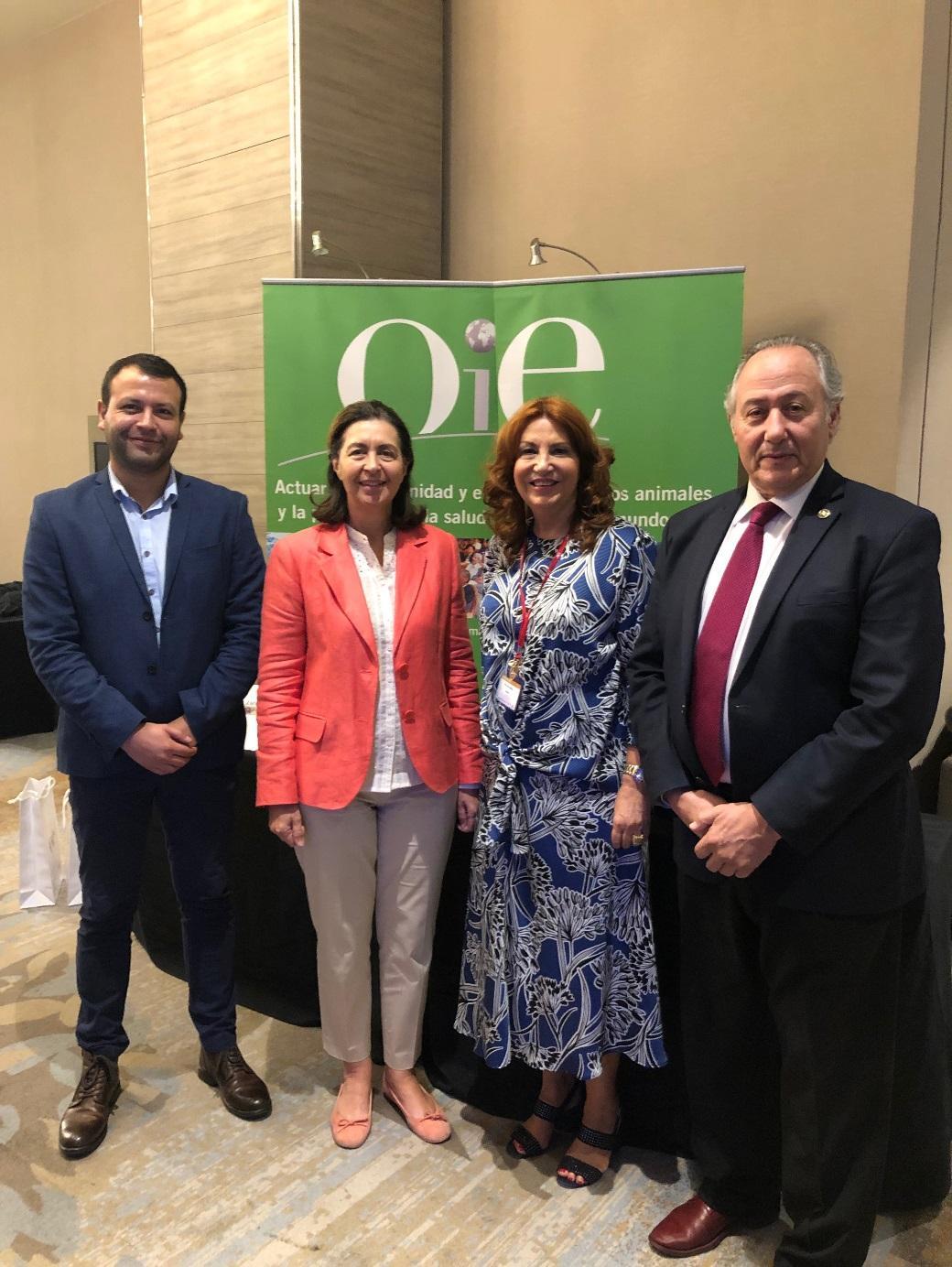 Dr. Nicolás Galarce (FAVET), Dra. Monique Eloit (Directora General OIE), Dra. Macarena Vidal (Directora Escuela de Medicina Veterinaria U.Mayor), Dr. Luis Barcos (Representante OIE para las Américas).