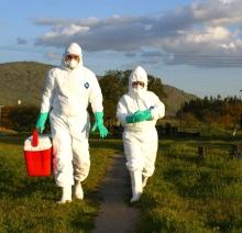 La constante colaboración con el Servicio Agrícola y Ganadero ha permitido importantes avances en el conocimiento de los brotes de virales en nuestro país. 