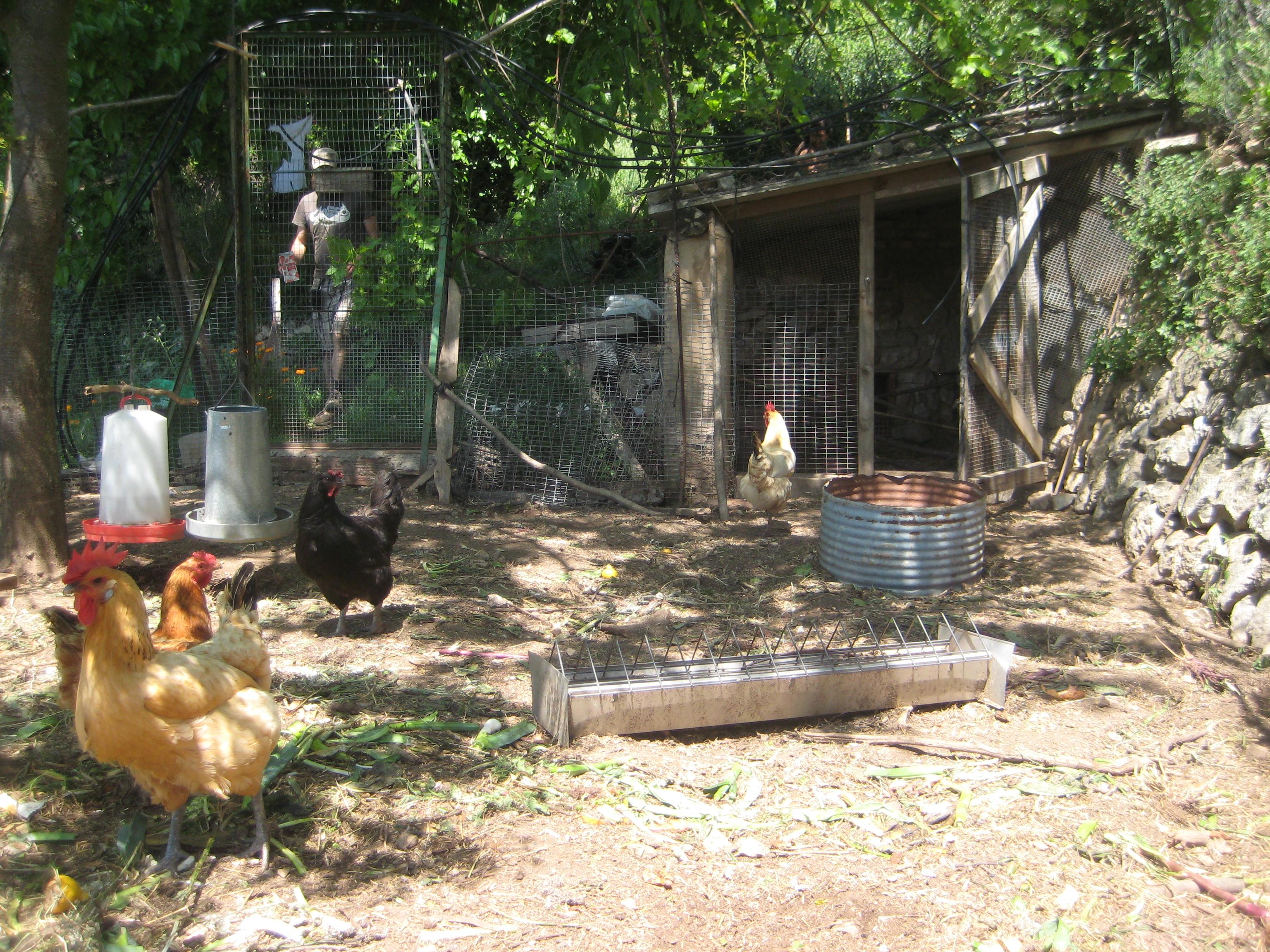 En la comuna las familias agricultoras de base campesina crían una amplia variedad de animales y dan salida local a sus productos en ferias diurnas, vespertinas y bajo compra directa.