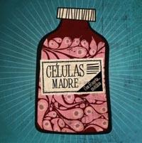 Células Madres