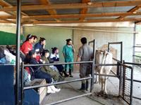 Facultad de Medicina Veterinaria de Virginia Tech está asesorando en el desarrollo de experimentos que se realizan en FAVET.