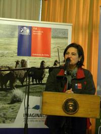 Dr. Alex Arancibia, Presidente CMVBIOBIO